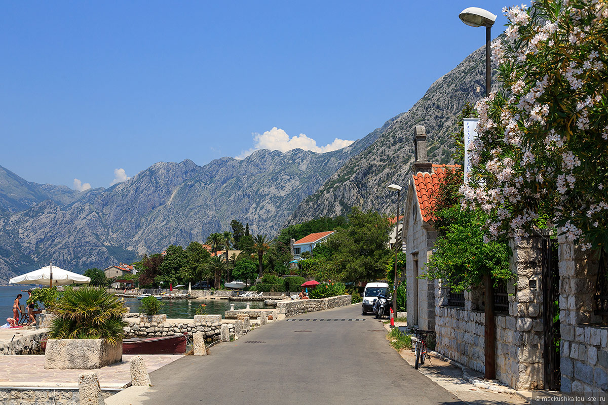 Dobrota